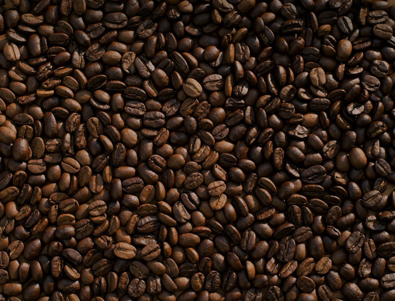 Cafetales mexicanos