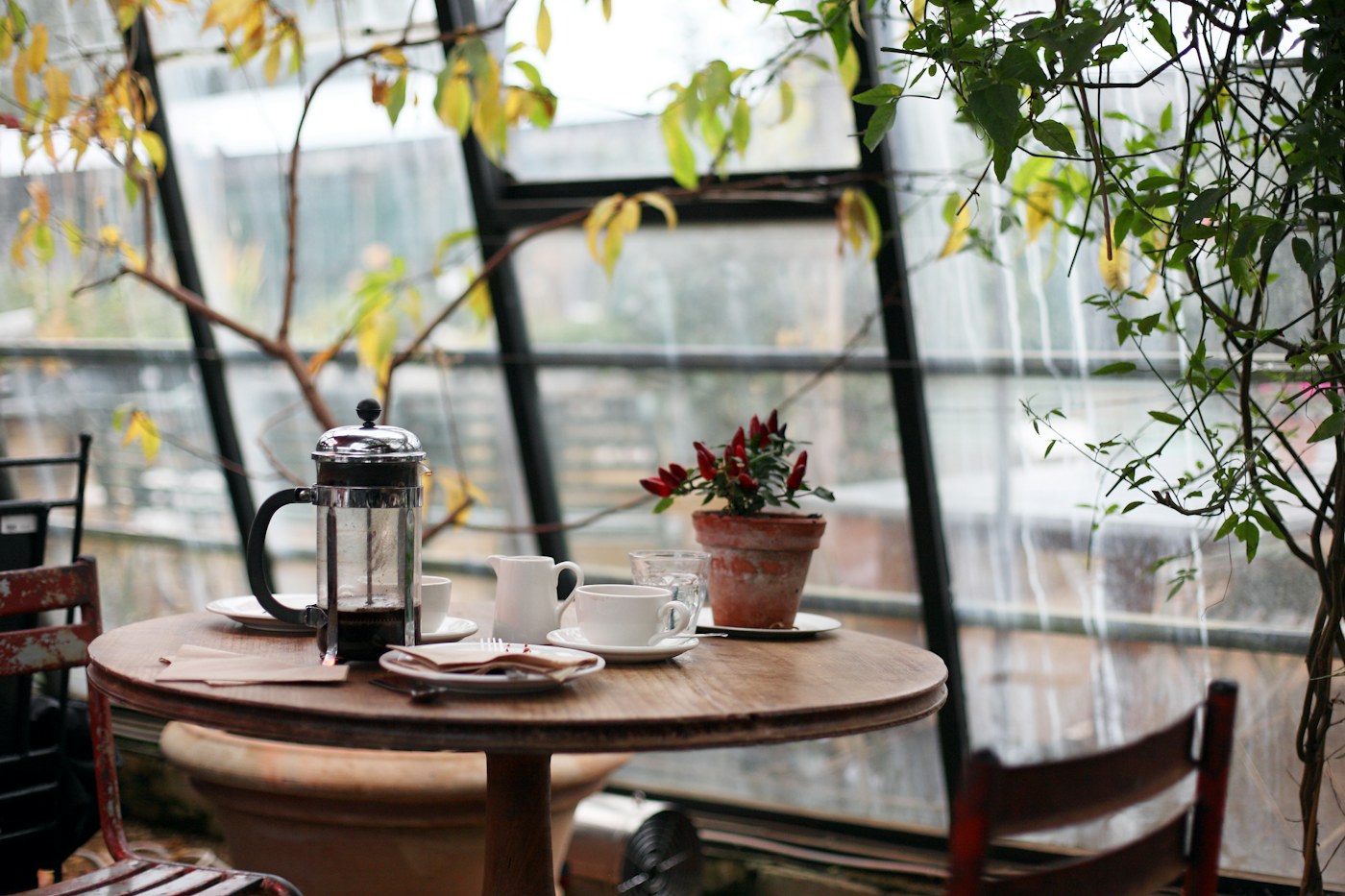 Costal de café